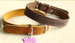 two dog collars