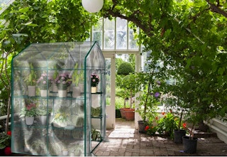 zulily-greenhouse-sale-mar-2023