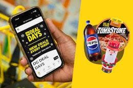 Dollar General's 24 Days of Savings: $1 Holiday Tins, BOGO Soda, $3 Pizza, More card image