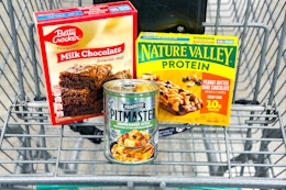 groceries in shopping cart