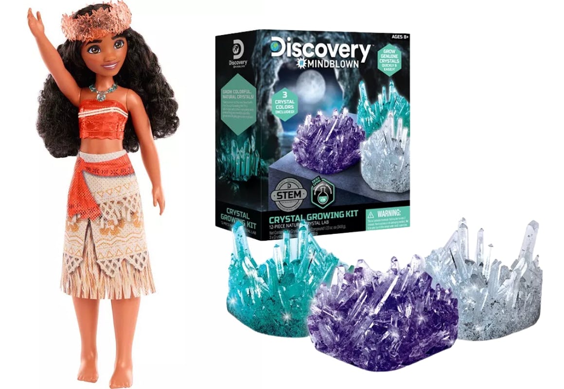 1 Disney Doll and 1 Discovery Set
