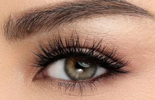 Eyelashes on an eye