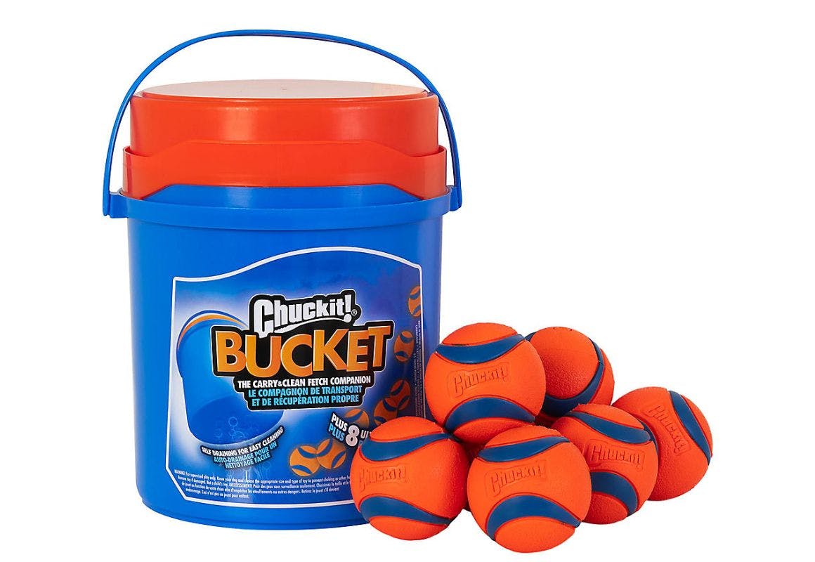 Chuckit Bucket