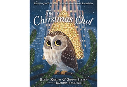 The Christmas Owl