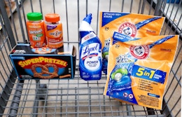 walmart-shopping-haul-jan-26-2022