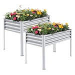 Raised Garden Bed 2-Pack