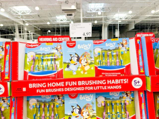 costcoo-clearance-bluey-toothbrush