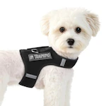 Dog Harness