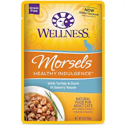 Wellness Wet Cat Food 24-Pack