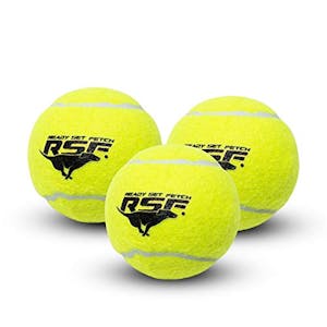 Franklin Squeaky Dog Tennis Balls