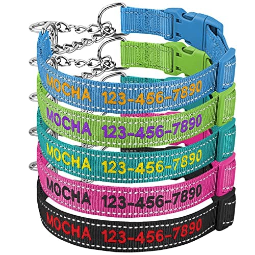 Personalized Martingale Dog Collar