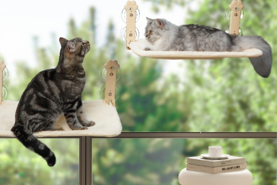 cat window perch Amazon