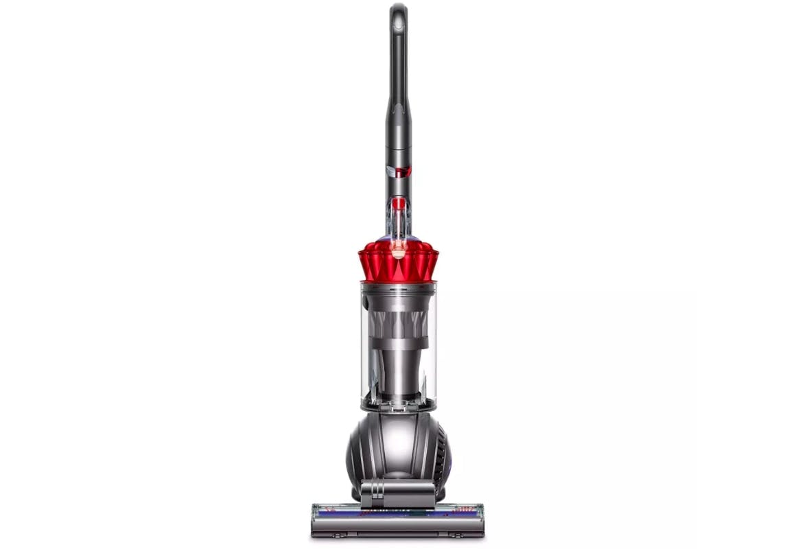 Dyson Ball Animal