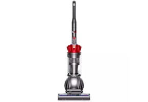Dyson Ball Animal
