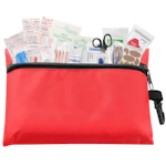Mini First Aid Kit