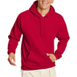 Hanes Men's EcoSmart Hoodie