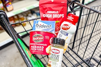 groceries in a dollar tree shopping cart