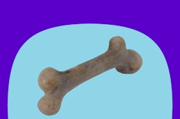 Pet Qwerks Dinosaur BarkBone, $4.97 on Amazon card image