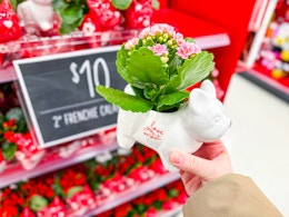 hand holding a valentines day frenchie planter in front of sign at target