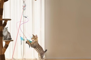 Interactive Laser Cat Toy