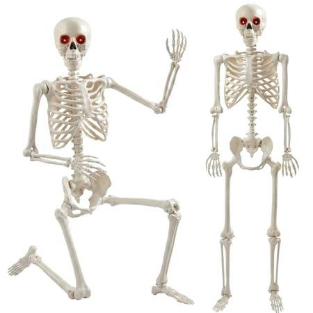 Halloween Skeleton Decoration