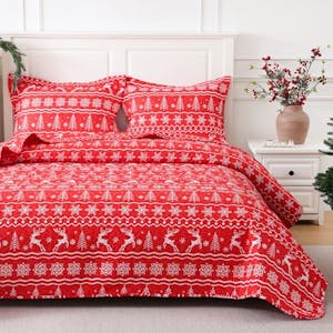 Christmas Quilt Set Full/Queen