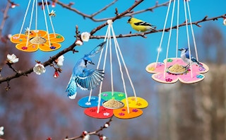 750b0f89 cb96 42cf 8315 08821f9f2699 cr0824001485 pt0 sx970 v1 1683131921 1683131921