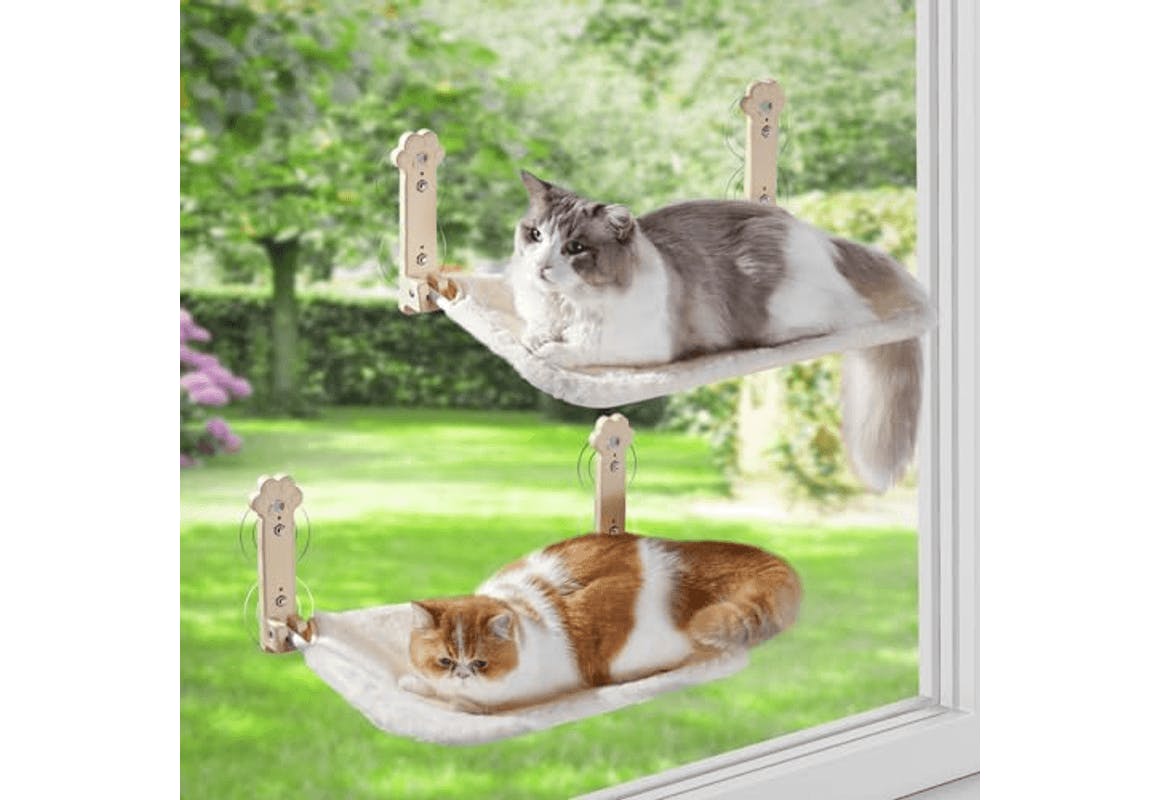 Cat Window Perch