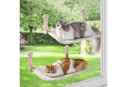 Cat Window Perch