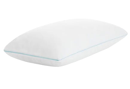 Wayfair Memory Foam Pillow