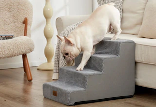 Wayfair Archie & Oscar Pet Stairs