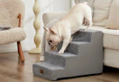 Wayfair Archie & Oscar Pet Stairs