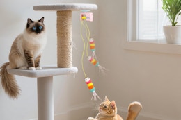 Interactive Cat Toy