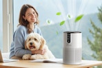 air purifier