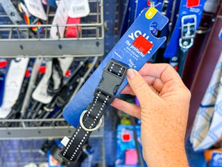 petco-clearance-081225-2