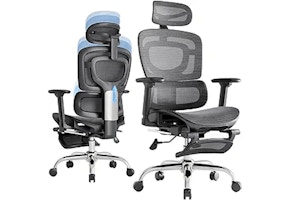 Ergonomic Office Chair
