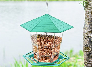 walmart phancir heavy duty bird feeder a 2023 1681216719 1681216719 e1685800382654