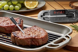 amazon digital thermometer