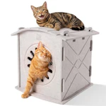 Cat House
