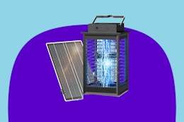 Solar Bug Zapper, Only $14.84 on Amazon (Reg. $50) card image