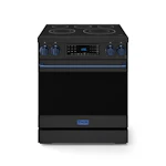 Electric Range