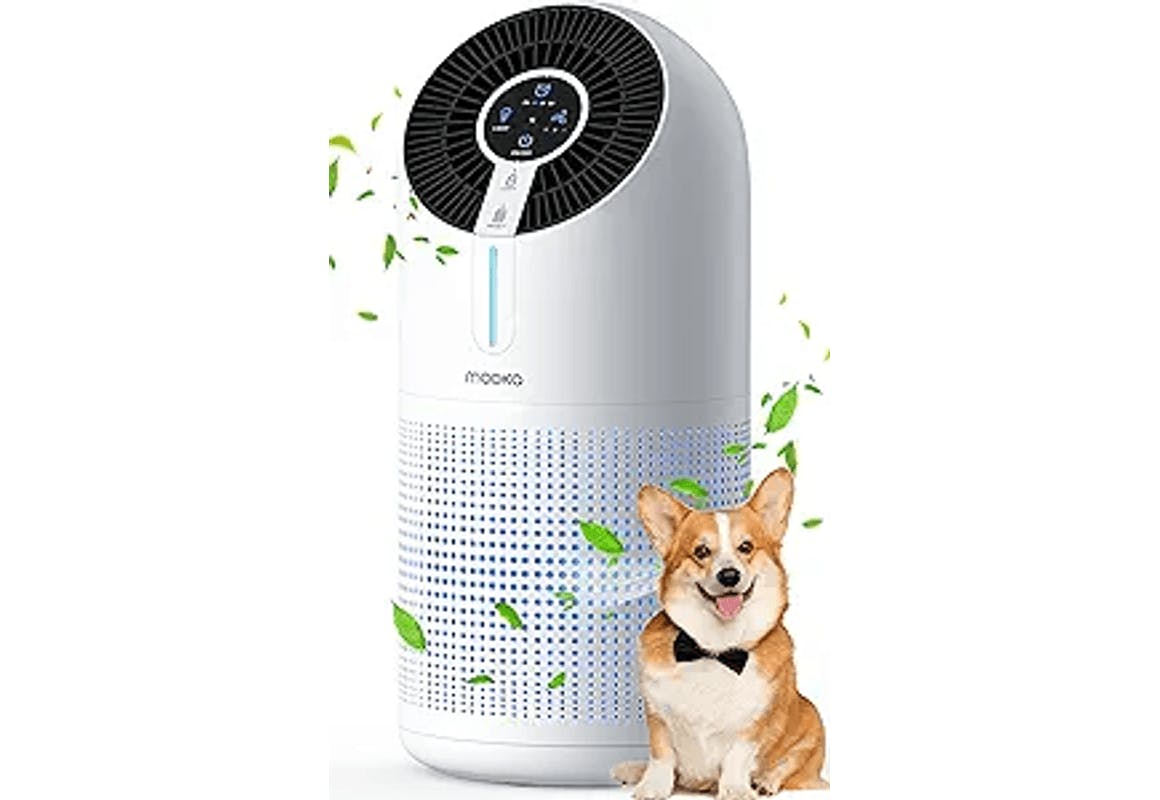 Air Purifier