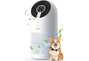 Air Purifier