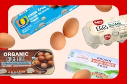1,700,000 Dozen Eggs Have Been Recalled Across Nine States card image
