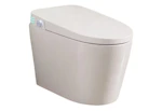 Smart Bidet Toilet
