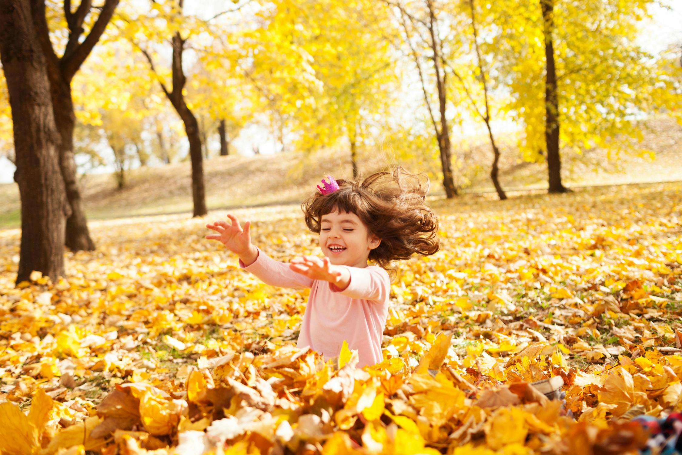 50 Fun (and Free) Fall Activities Every Member of Your Family Will Enjoy