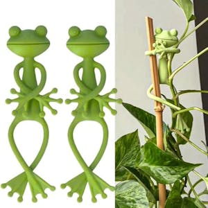 Green Frog Plant Holder