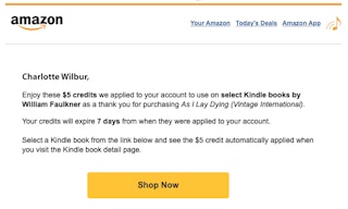 Amazon Kindle credit book screenshot