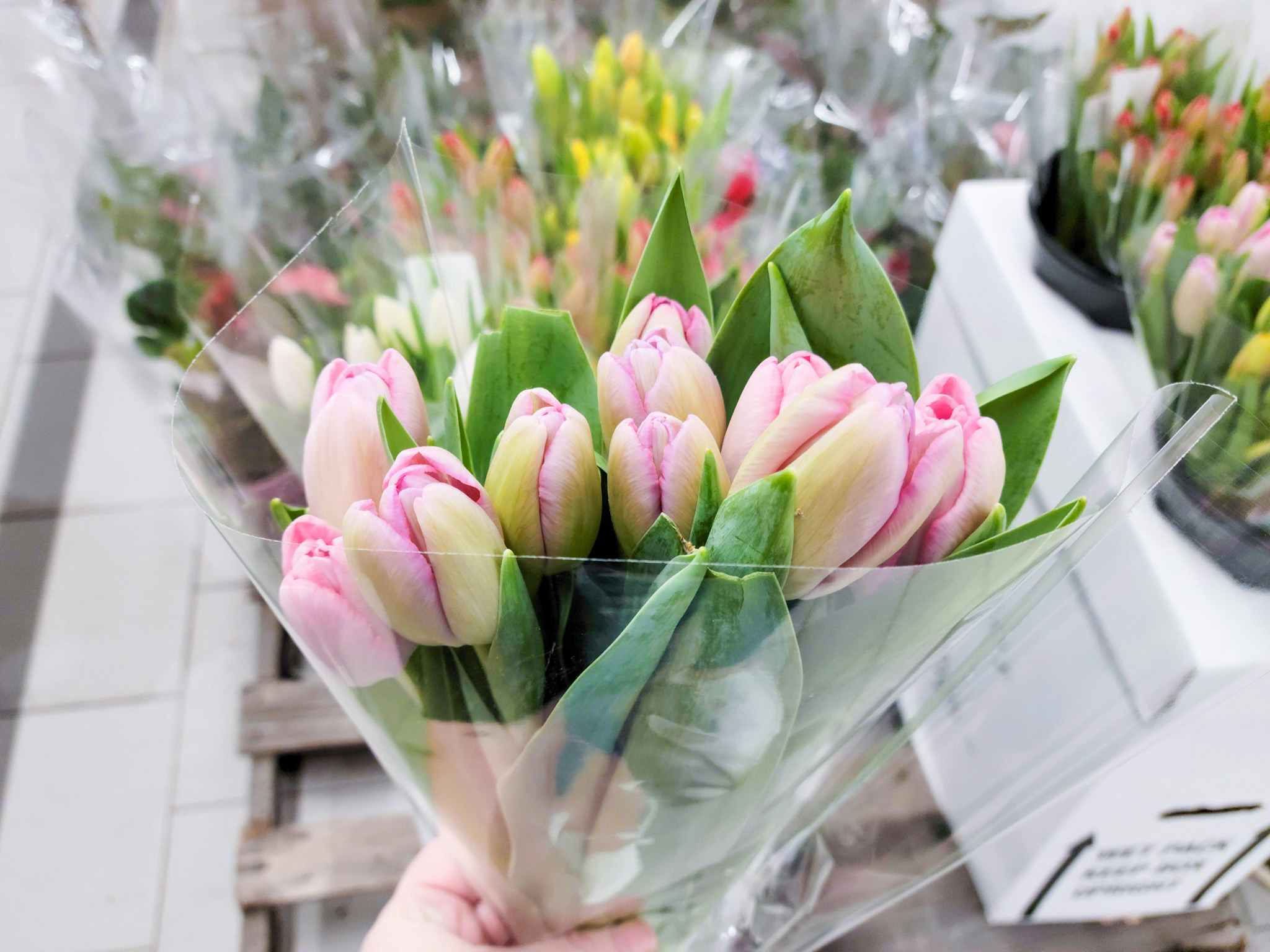 Valentine's Day Flower Deals at Aldi 12Stem Roses for 10 and More