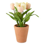 Tulip Floral Arrangement